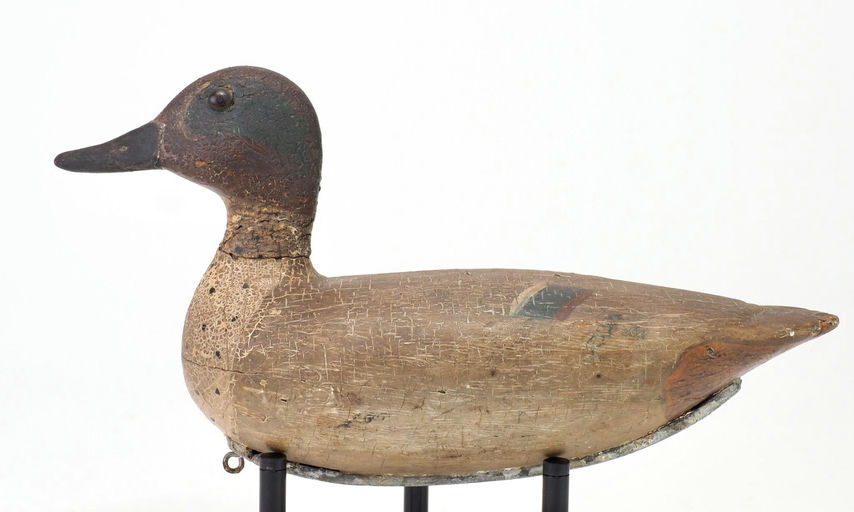 Otton Garren — Green-winged Teal Drake