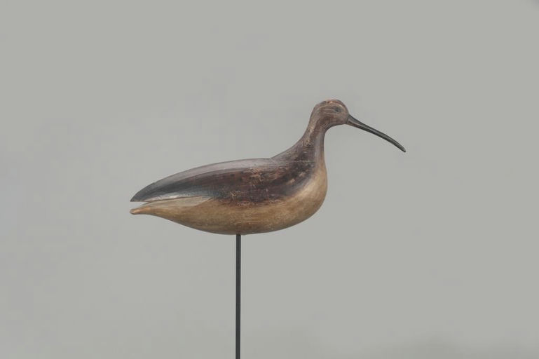 Mark McNair – Accomac Curlew – 2021