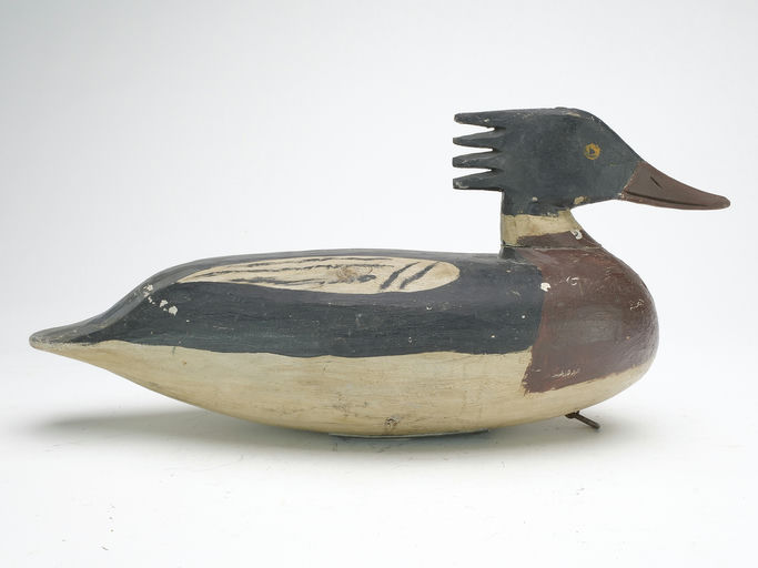 Doug Jester – Merganser – 2023