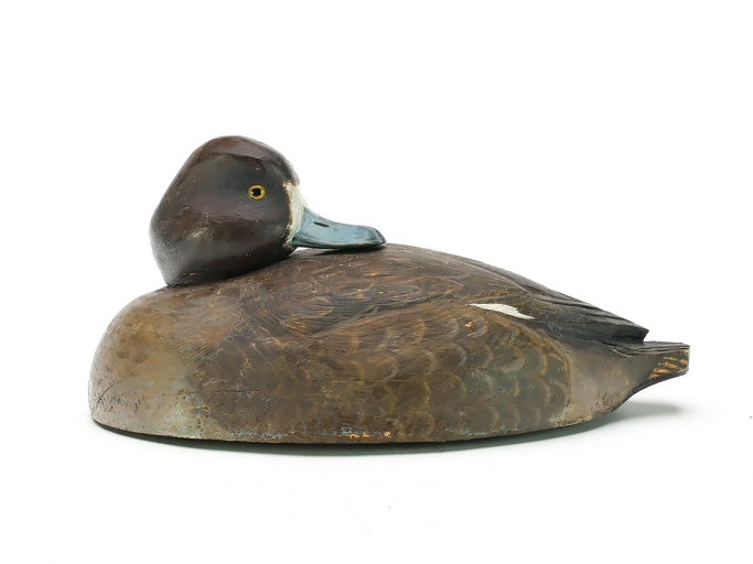 Tom Schroeder – Scaup – 2025