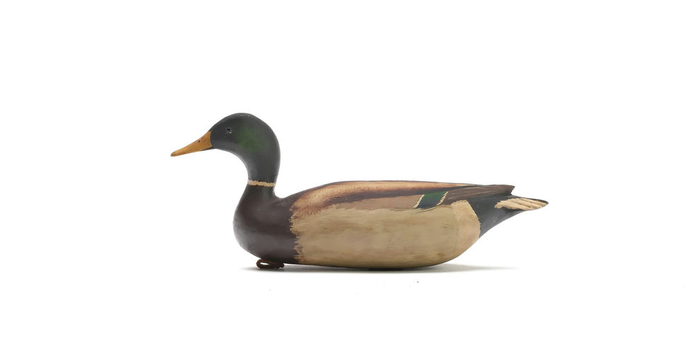Bob White – Miniature Mallard – 2025