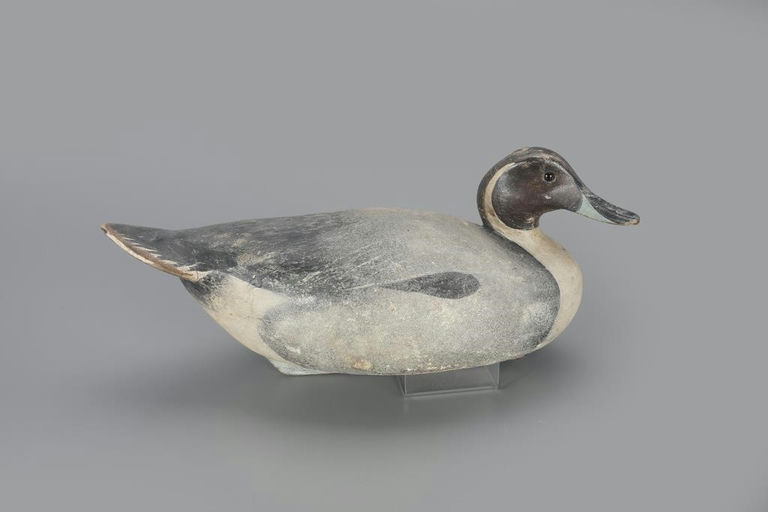 Ward Brothers – Pintail – 2023