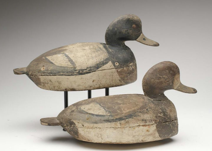 Ira Hudson – Pair of Bluebills – 2023