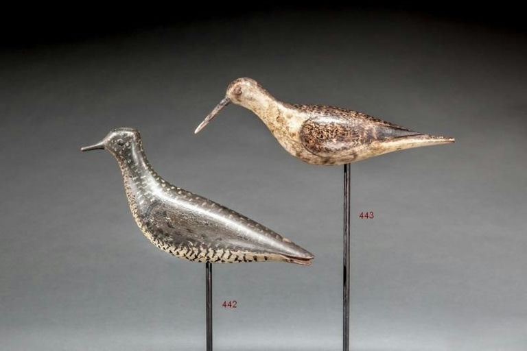 Morton Family – Yellowlegs – 2015