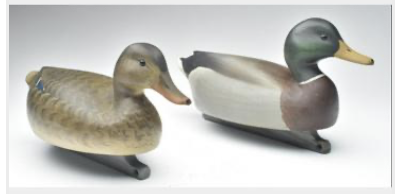 Marty Hanson – Mallard