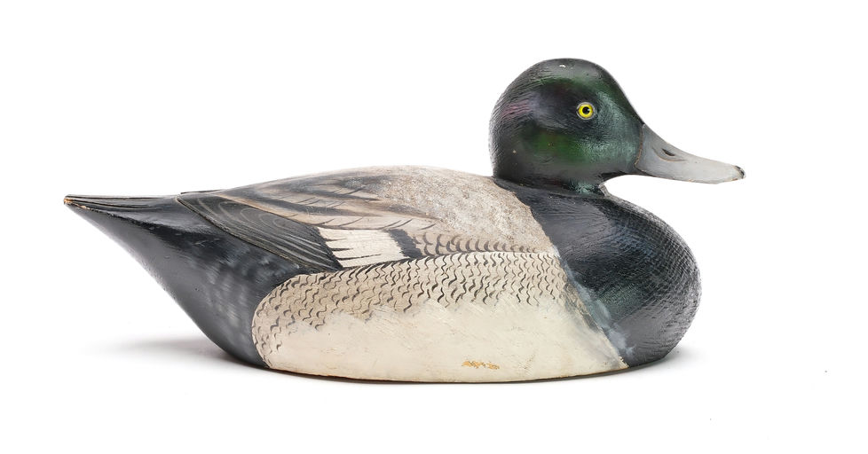 Elmer Crowell – Bluebill – 2025