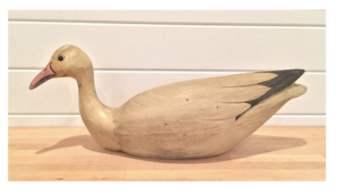 Grayson Chesser – Swimming Snow Goose – 2016