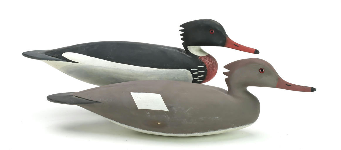 Hurley Conklin – Pair of Merganser – 2025