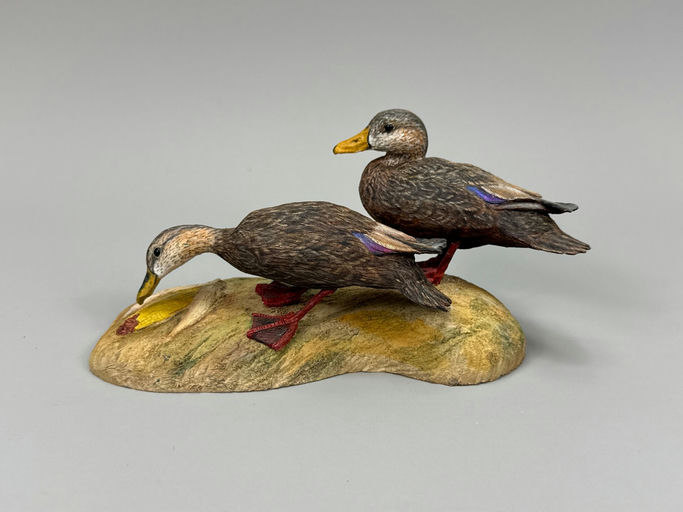 Dan Brown – Black Duck – 2026