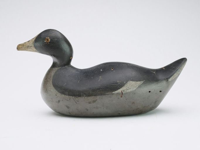 Mason Decoy Factory – Coot – 2024