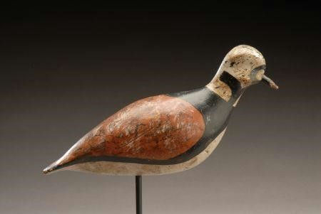 John Horn – Ruddy Turnstone – 2007
