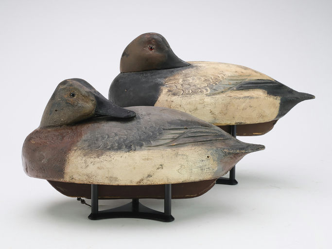 Ben Schmidt – Pair of Canvasbacks – 2024