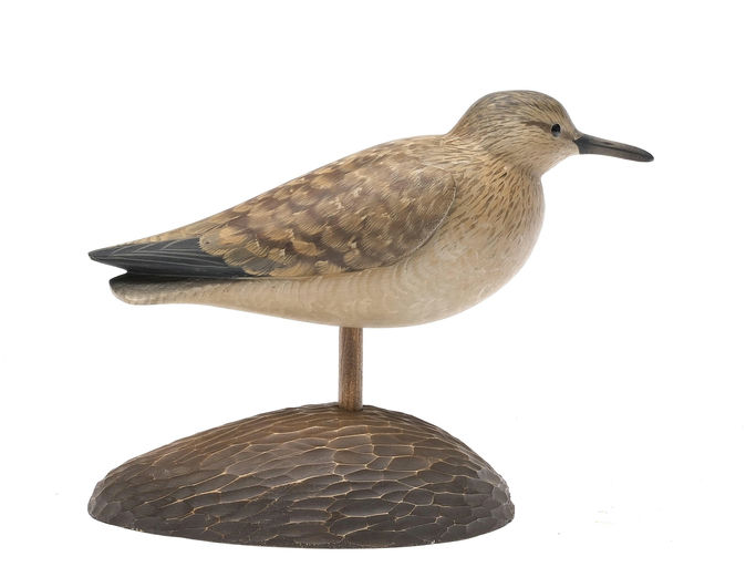 George Strunk – Sandpiper – 2026