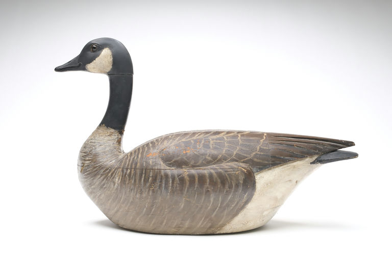 Owen Gromme – Canada goose – 2026