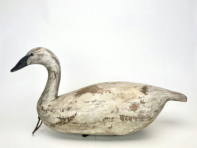 Reggie Birch – Swan – 2024
