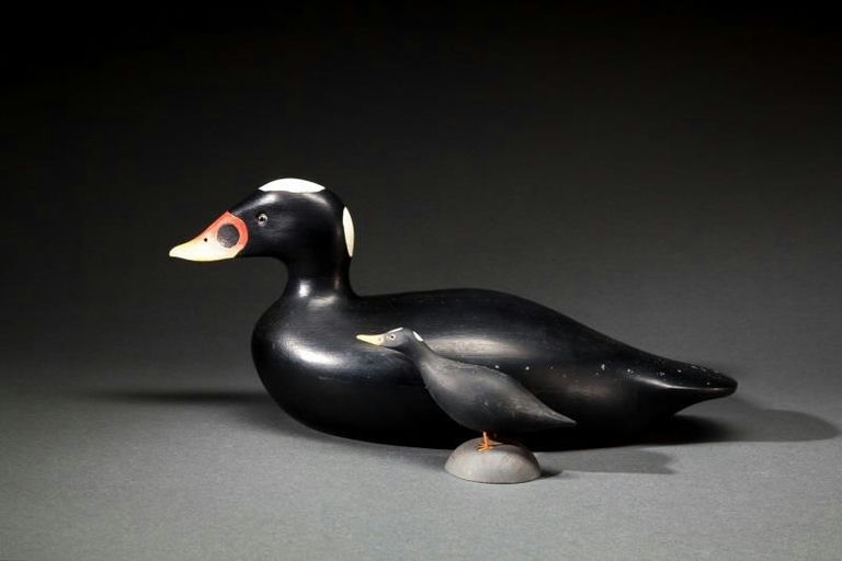 Gerald B. Smith – Surf Scoter and Miniature Surf Scoter – 2014