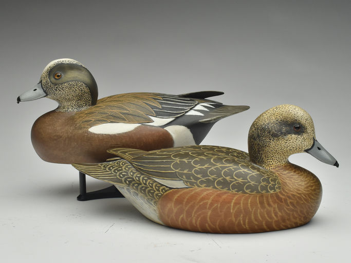 John McLoughlin – Wigeon – 2023