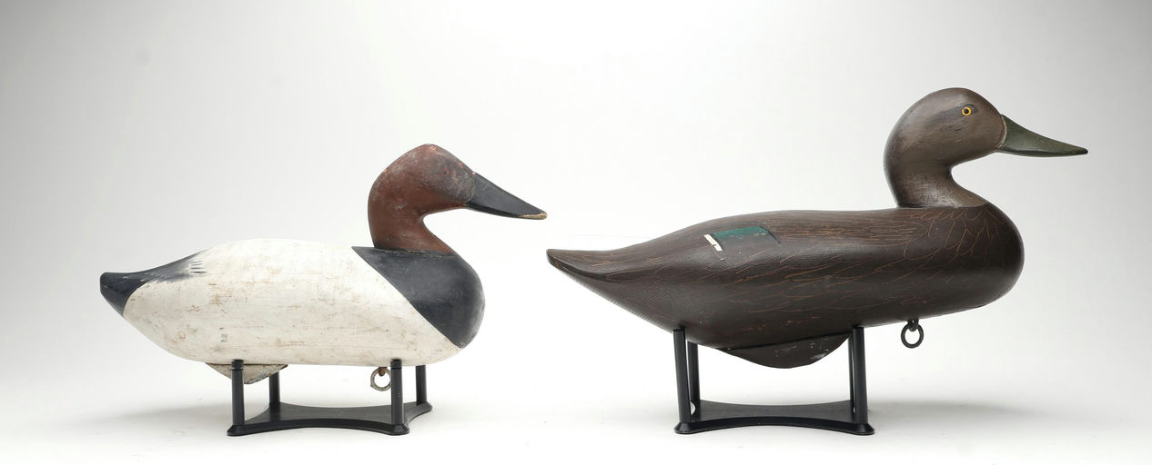 R. Madison Mitchell – Black Duck – 2026