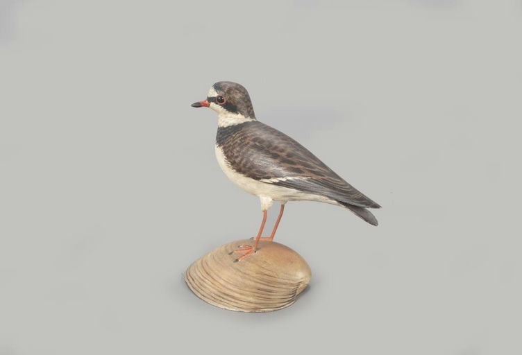 Elmer Crowell – Turned-Head Semipalmated Plover – 2022