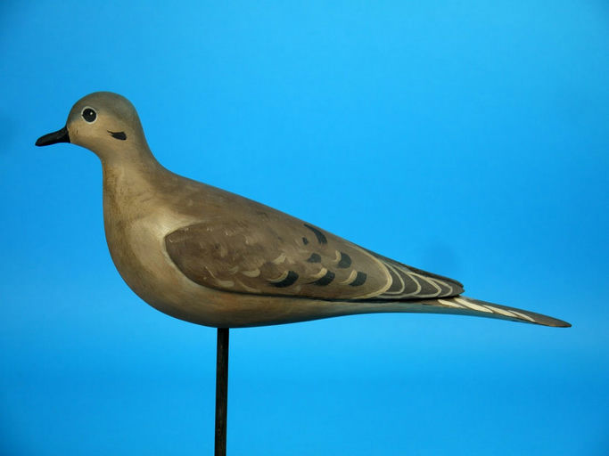 David Rhodes – Mourning Dove – 2026