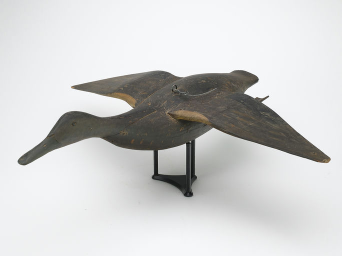 Gus Wilson – Black Duck – 2024