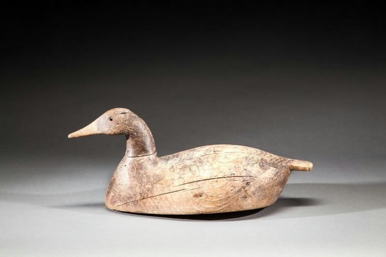 Will Sterling – Canvasback Hen – 2016