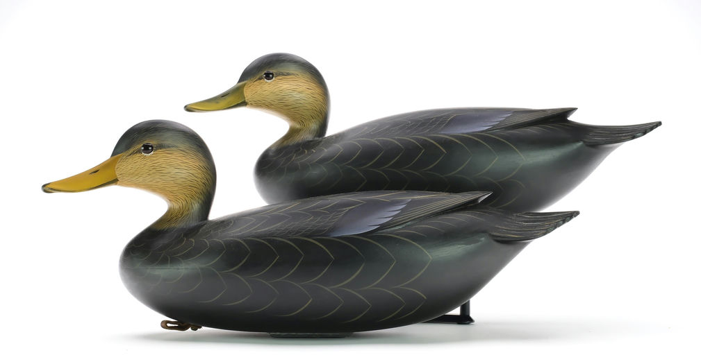 George Strunk – Pair of Black Ducks – 2024