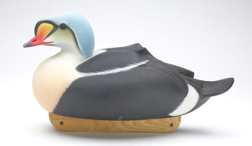 Keith Mueller – King Eider – 2023