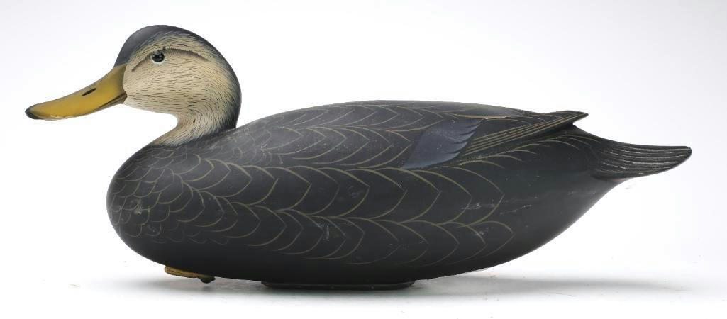 George Strunk – Black Duck – 2026