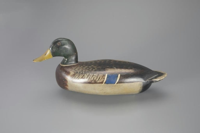 John F. Fischer – Turned-Head Mallard – 2024