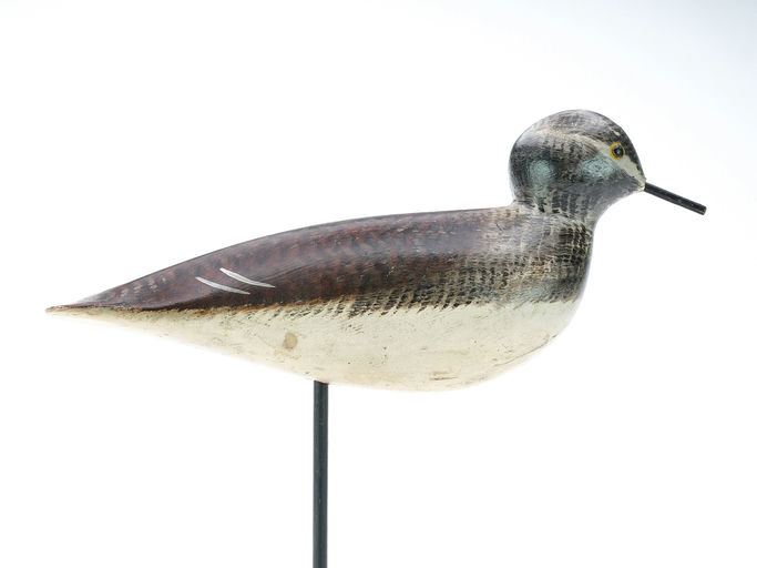 Chauncey Wheeler – Plover – 2025