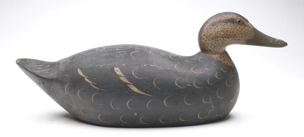 Mason Decoy Factory – Black Duck – 2025