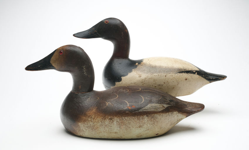 Mason Decoy Factory – Pair of Canvasback – 2026