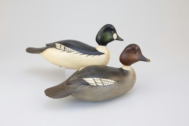 Bob White – Goldeneye Pair – 2026