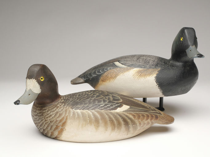 Ward Brothers – Pair of bluebills – 2023
