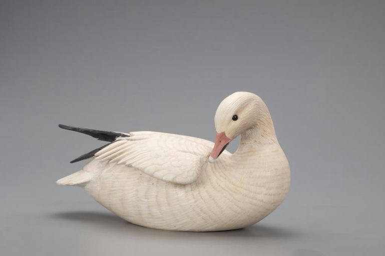 Ward Brothers – Preening Snow Goose – 2021
