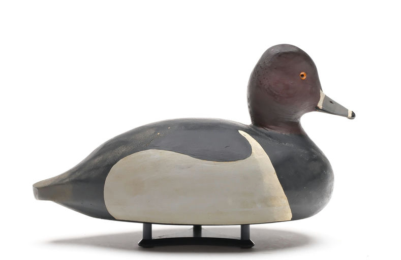 Bob White – Ringneck – 2025