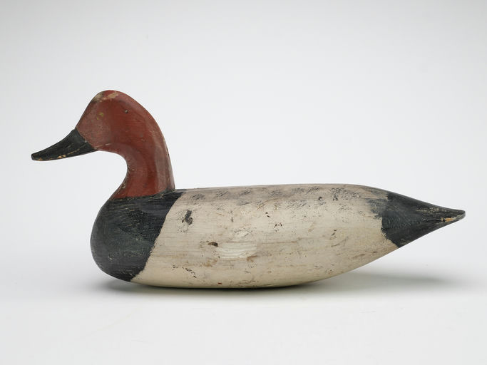Doug Jester – Canvasback – 2024