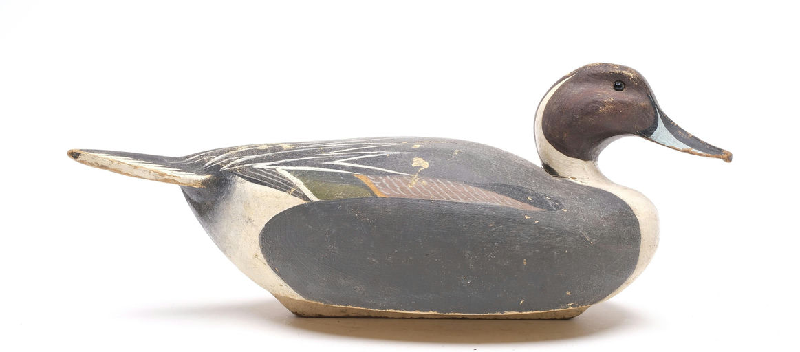 Ward Brothers – Pintail – 2026