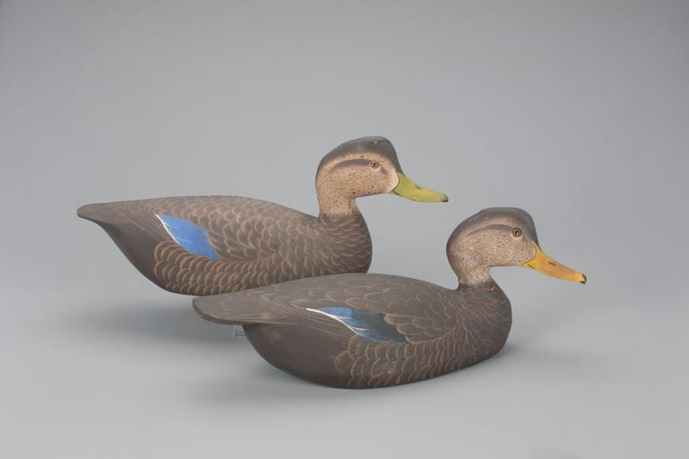 Ward Brothers – The Bishops Head Black Duck Pair – 2021