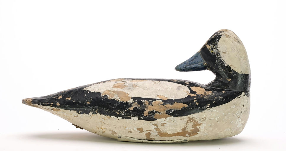 Doug Jester – Bufflehead – 2024