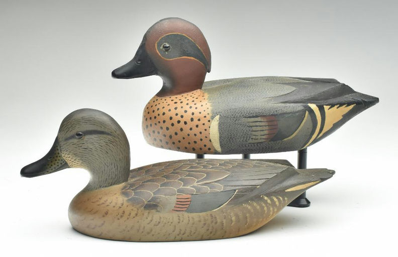 David W. Nichol – Green-winged Teal – 2023