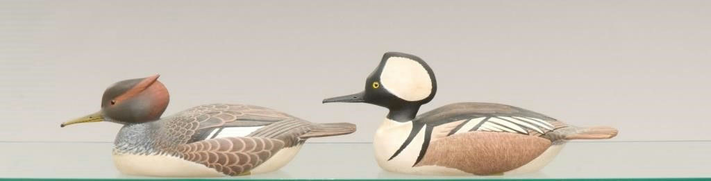 William M. Birk – Hooded Merganser Pair – 2009