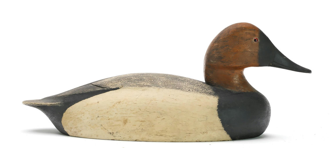 Ken Anger – Canvasback – 2024