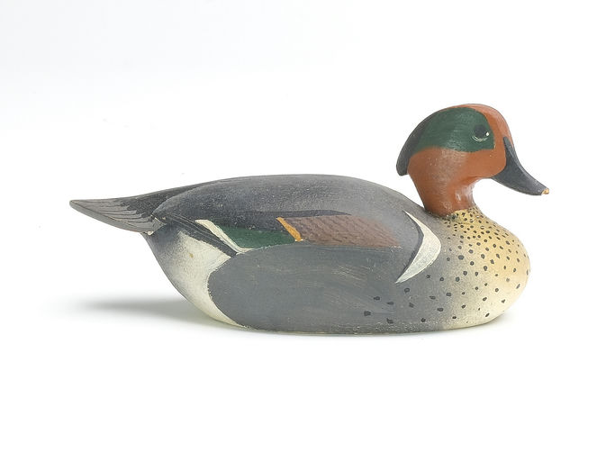 Ward Brothers – Miniature Greenwing teal – 2023
