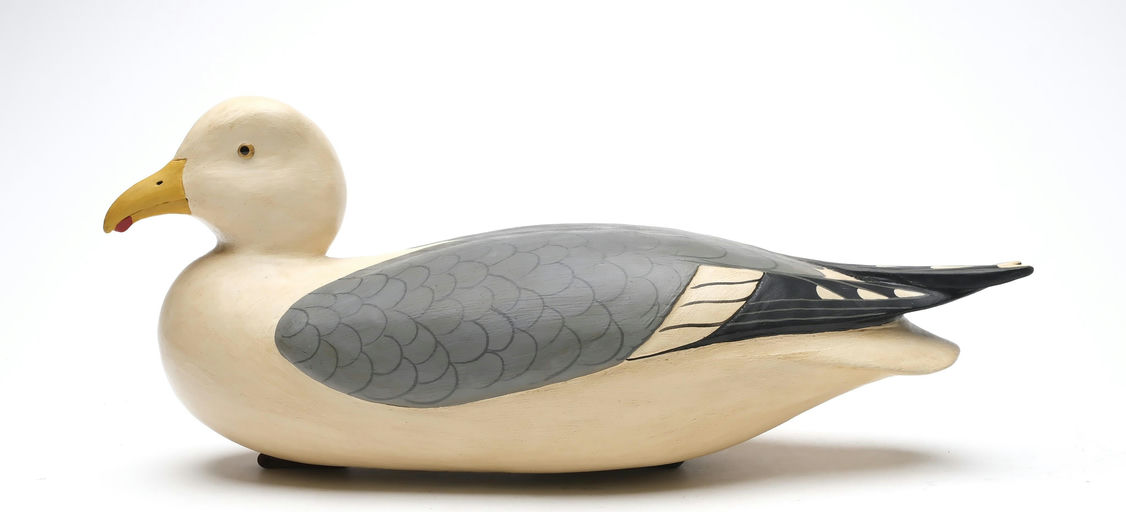 Bob White – Gull – 2026
