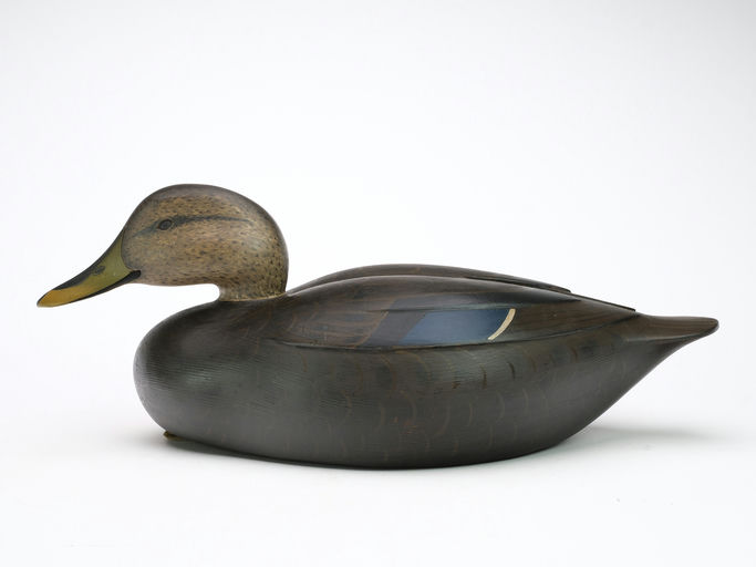 Marty Collins – Black Duck – 2024