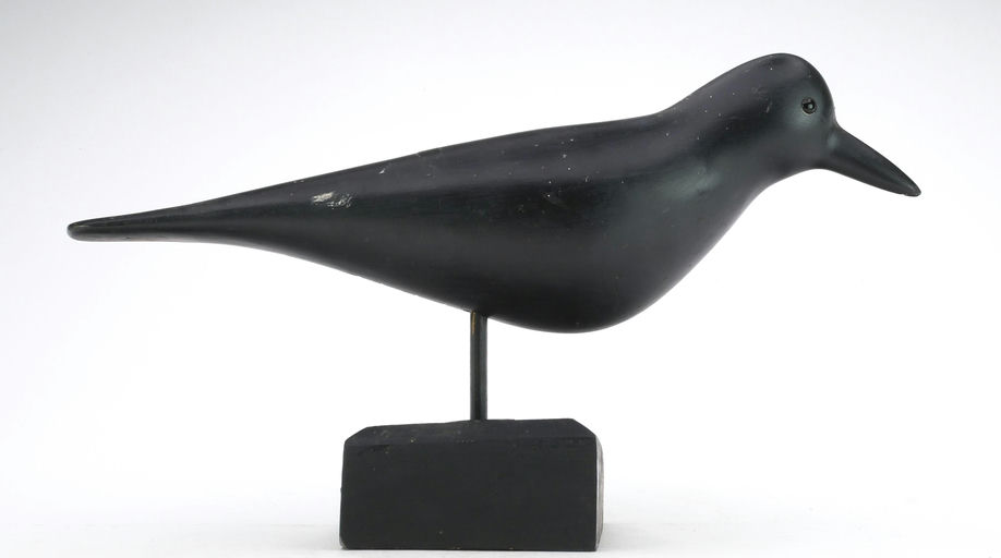Pete Peterson – Crow – 2024