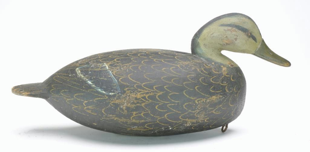 Reggie Birch – Black duck – 2023