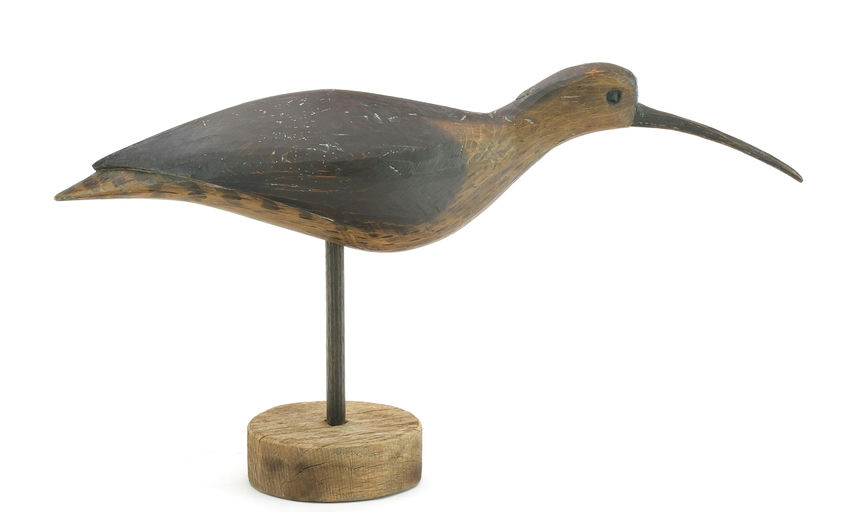 Pete Peterson – Curlew – 2024